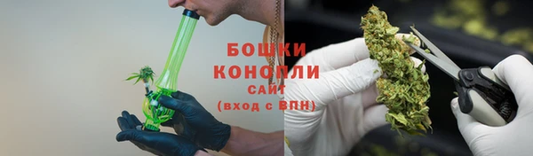шишки Балабаново