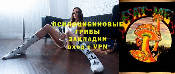 apvp Балахна