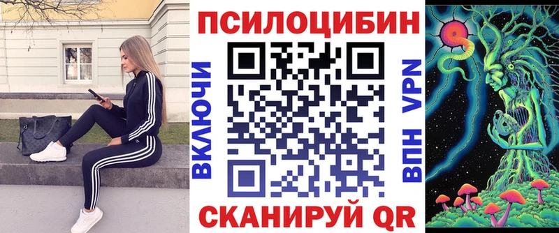 купить   Юрьев-Польский  Галлюциногенные грибы мухоморы 